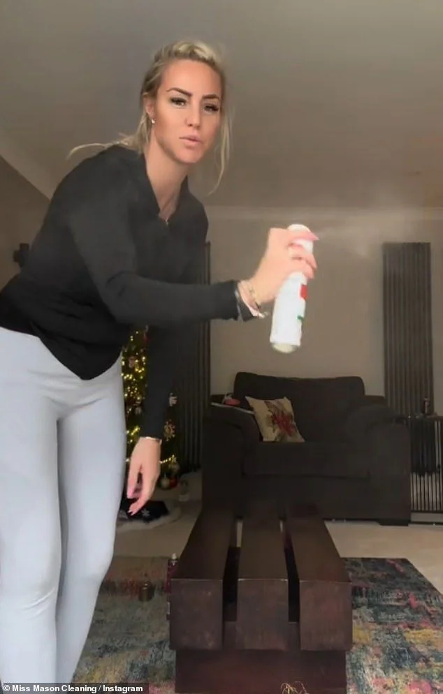 How to spring clean like a traveller: I spent years living on a caravan site with my MMA fighter partner and these are the household hacks I learned - 2