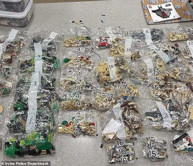 Man's brazen trick for stealing and reselling Lego is exposed as he's accused of getting away with scheme at least 70 times before arrest - 2