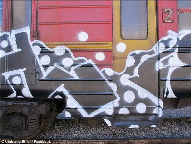 Graffiti artist arrested during transport minister's press conference - 4