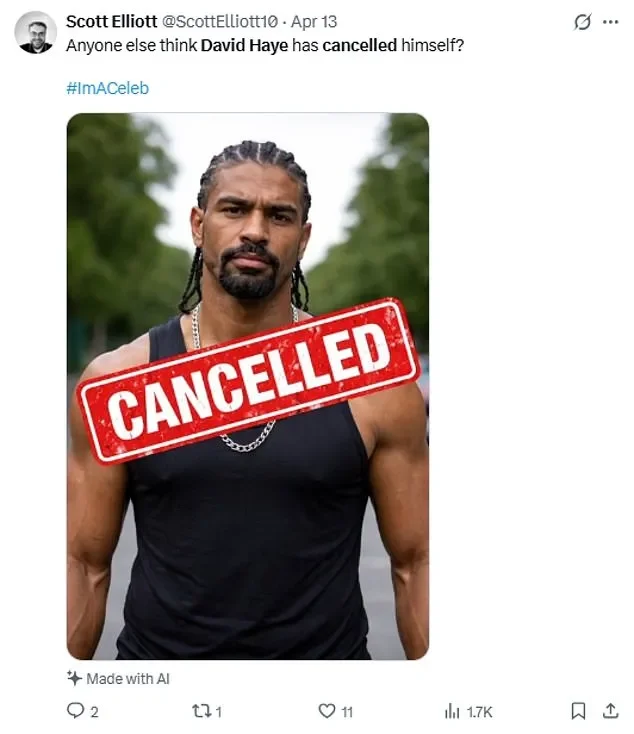 'I'm a lawyer - Here's why David Haye won't win I'm a Celeb lawsuit' - 4