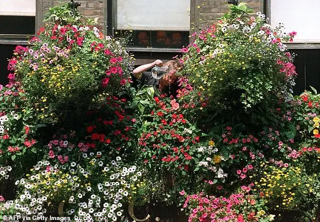 How a SUPER El Niño could impact the UK: Experts warn the unusual climate pattern could push Britain's temperatures to record highs this summer - 1