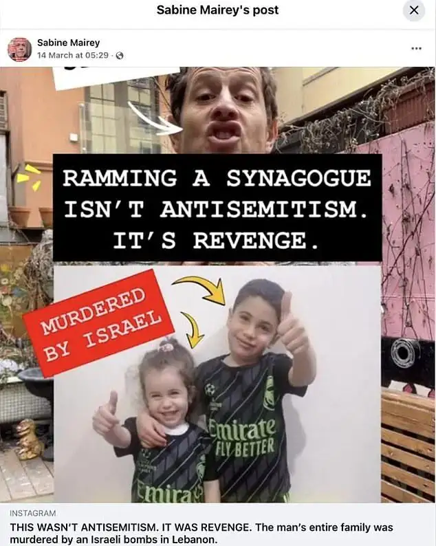 Two London Green Party local election candidates arrested over 'antisemitic posts' - 1