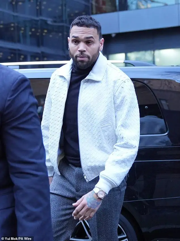 Gunfire erupts outside Chris Brown's LA mansion amid Rihanna assault legal drama - 1