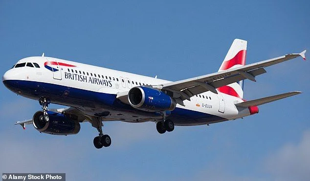 BA attendant is sacked 'after downing bottles of wine before flight because she was stressed' - 1