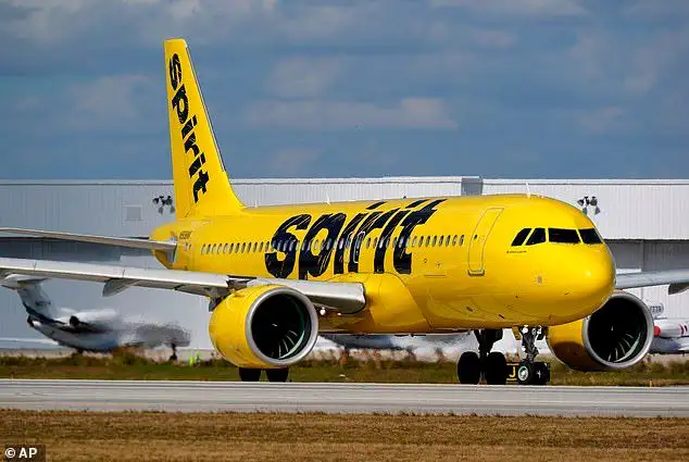 Millionaire influencer issues groveling apology after mocking laid-off Spirit Airlines worker who asked for financial help - 3