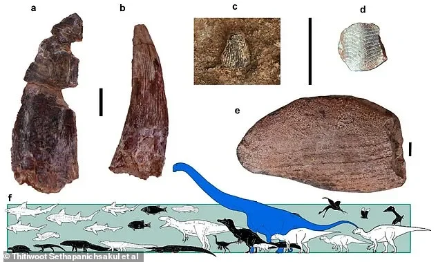 Meet the Nagatitan! Huge dinosaur three times the size of a London BUS roamed South-East Asia 120 million years ago, fossil analysis reveals - 2