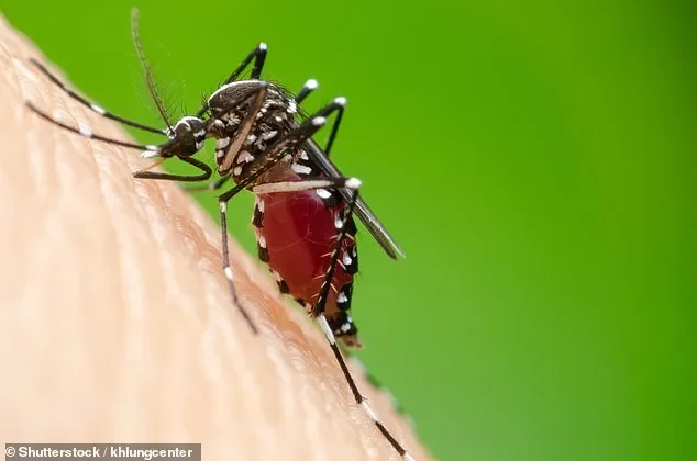 Cases of incurable brain-bleeding virus surge more than 350% in US... as CDC issues travel notice for 12 countries - 1