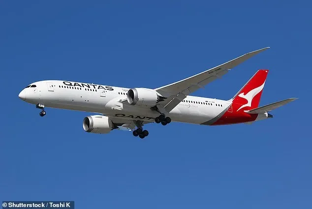 Wild scenes on Qantas flight as passenger allegedly bites flight attendant - 2