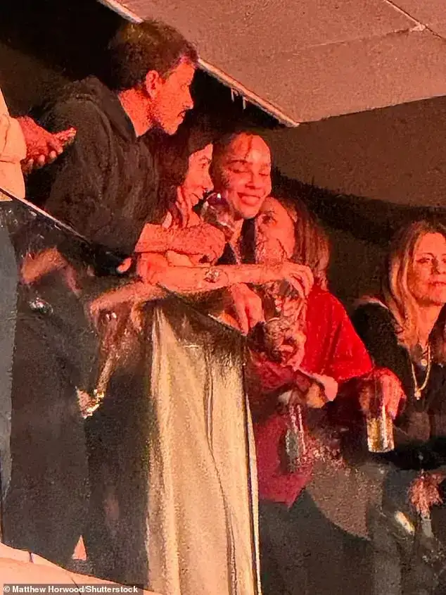 Harry Styles Kicks Off Tour With Zoë Kravitz in Crowd, As Fans Slam Stage Setup - 3