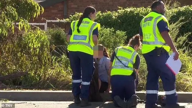 Bus carrying 40 students crashes into tree in Sydney's west - 2