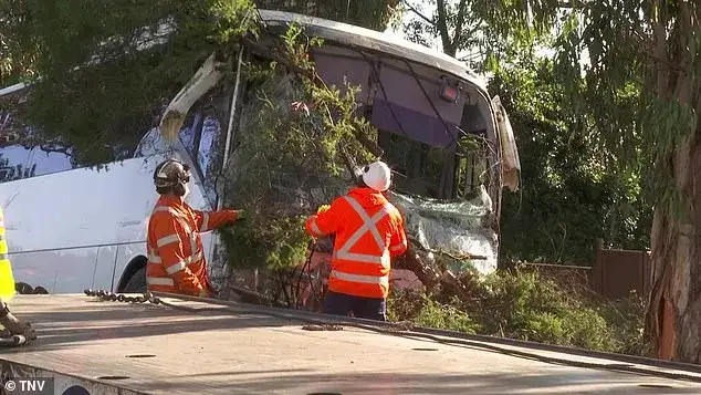Bus carrying 40 students crashes into tree in Sydney's west - 1