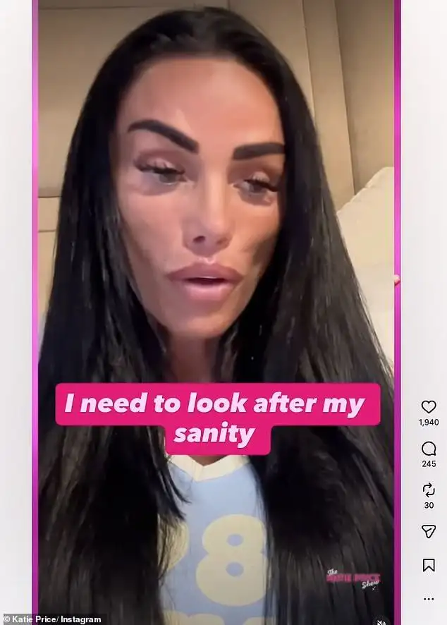 Where is Katie Price’s ‘missing’ husband Lee Andrews? A full timeline of the mysterious case - 3