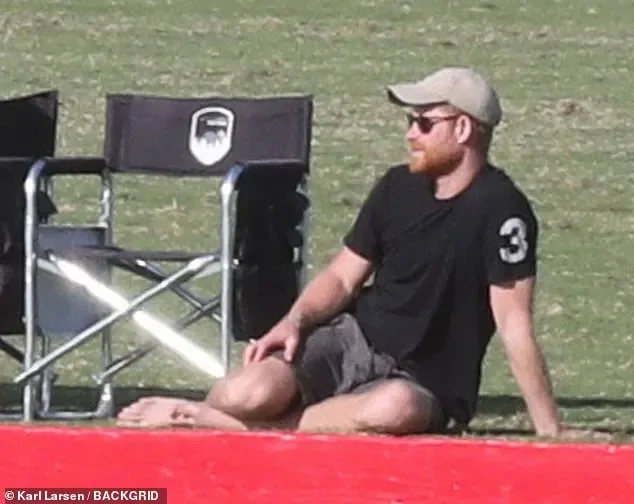 Prince Harry keeps it casual as he steps out without wife Meghan Markle to watch polo match - 3