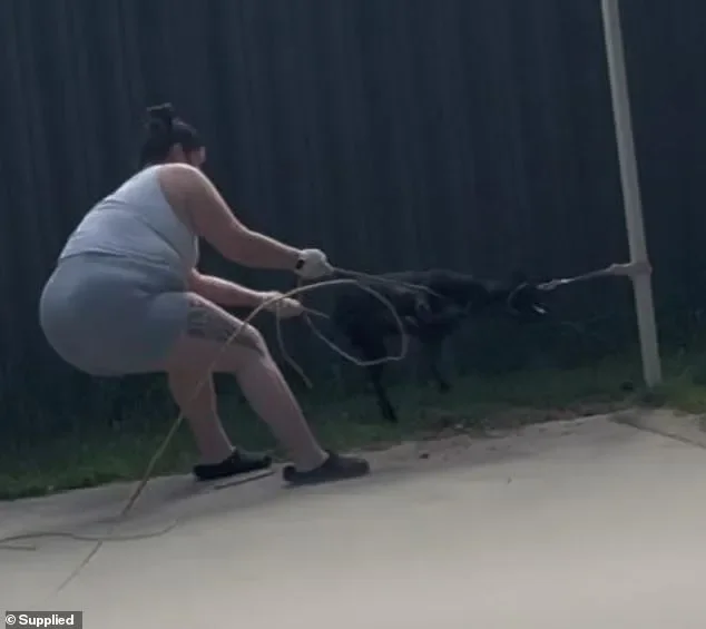 Aussie woman avoids jail after 'wicked' abuse of a one-year-old puppy for chewing her stuff after she is caught on camera - 1