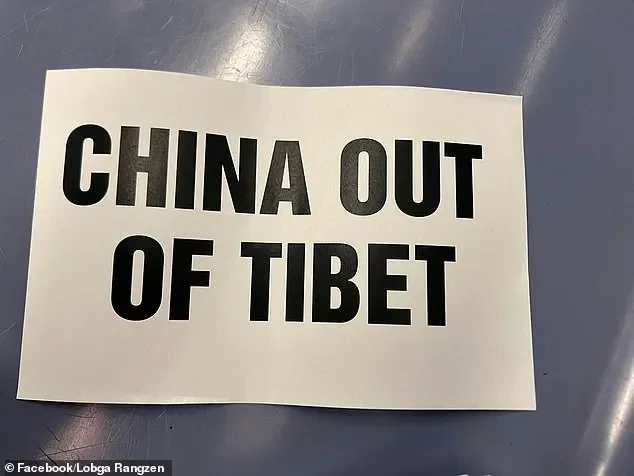 Terrifying moment Tibetan protester sets himself on FIRE outside United Nations building in NYC - 1