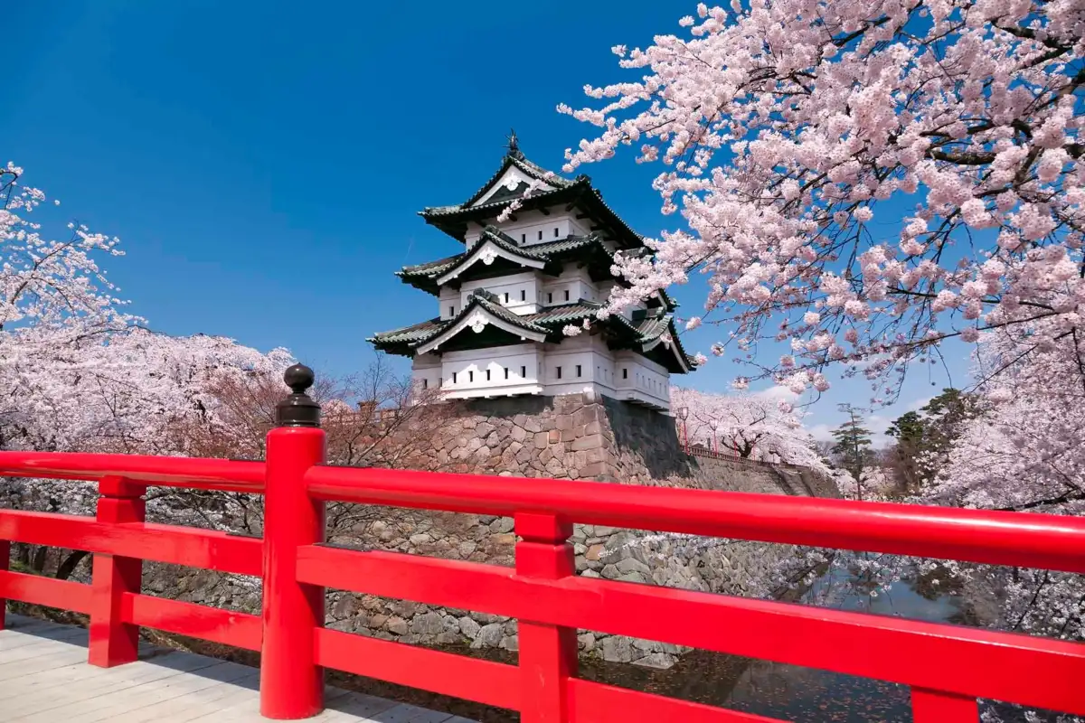 Japan refutes 'new militarism', accuses China of rapidly arming - 2