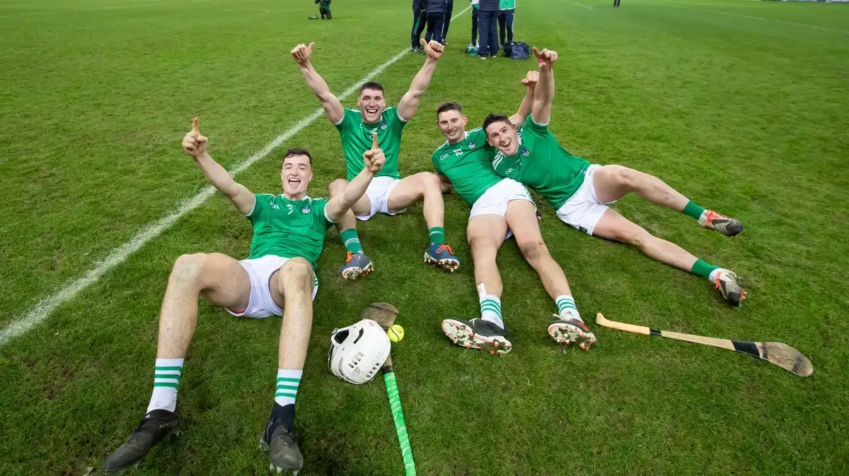 Player ratings: Hegarty and O'Donoghue power Limerick past Waterford - 3