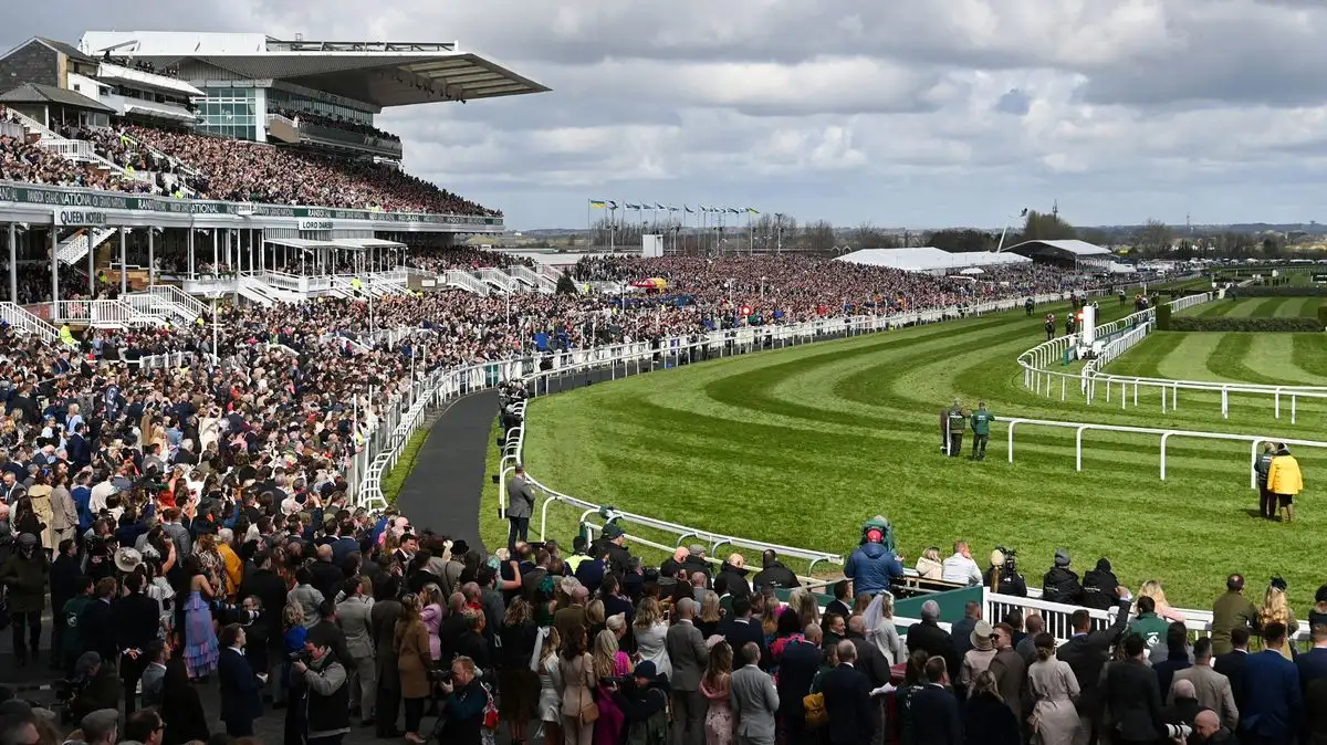 Imperial Saint fancied for Grand National glory - 1