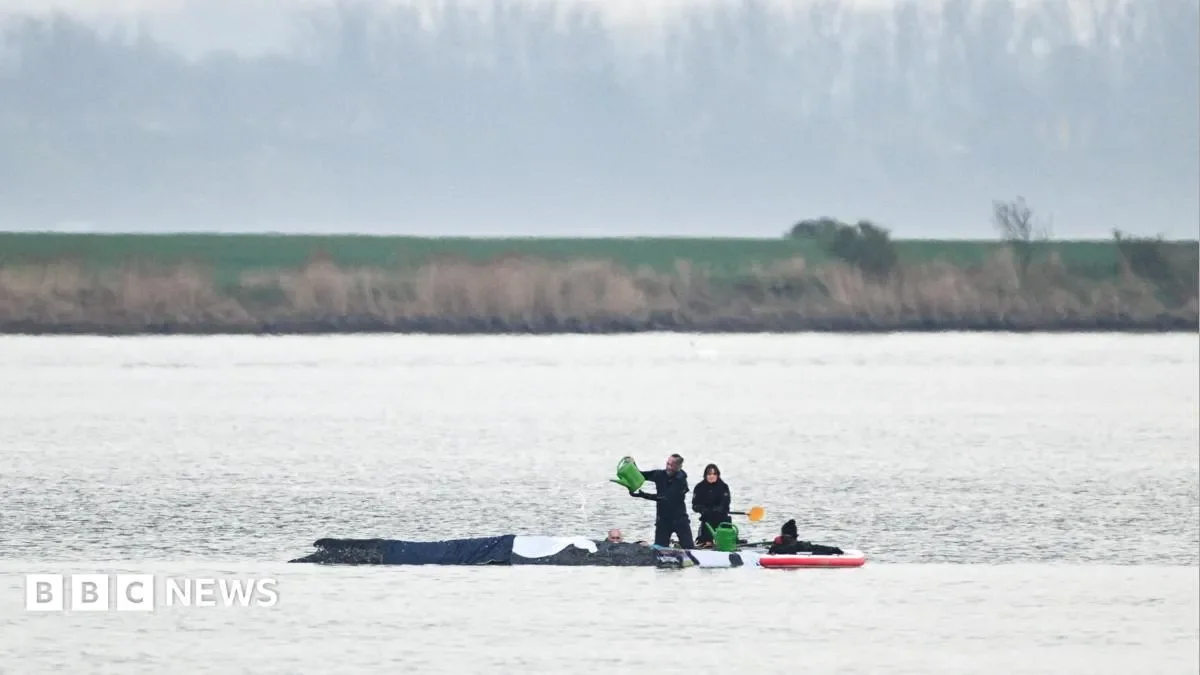 German minister defends ‘perfectly human’ decision to allow attempt to rescue whale Timmy - 4