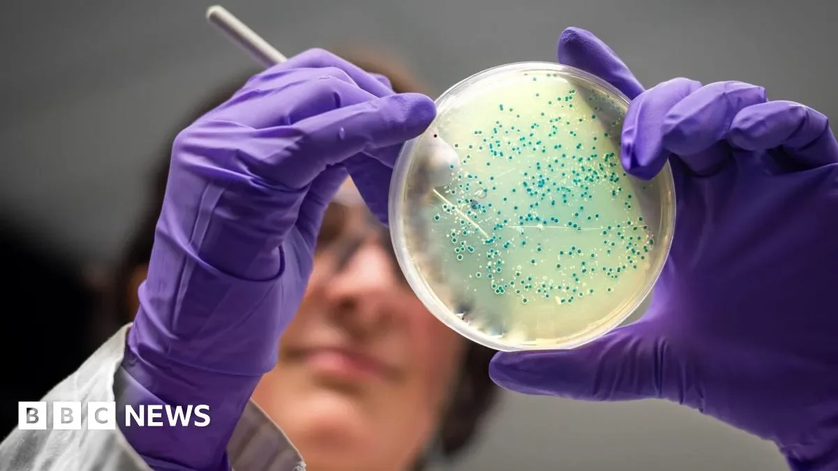 How generative AI and physics can help design new antibiotics - 4