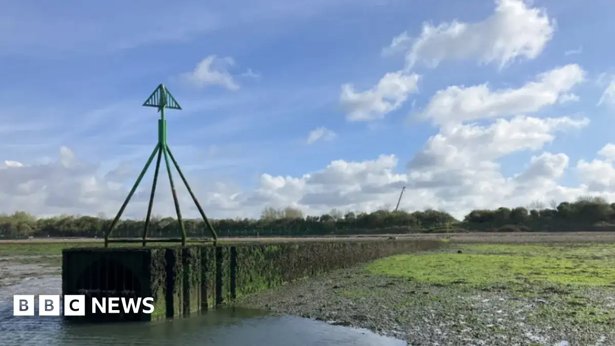 High levels of toxic ‘forever chemicals’ found off coast of southern England - 4