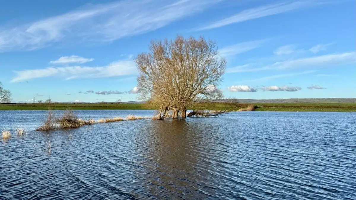 Why is it so wet in the UK? Meteorological experts explain the relentless rain - as soggy Brits say they're 'absolutely sick of it' - 2