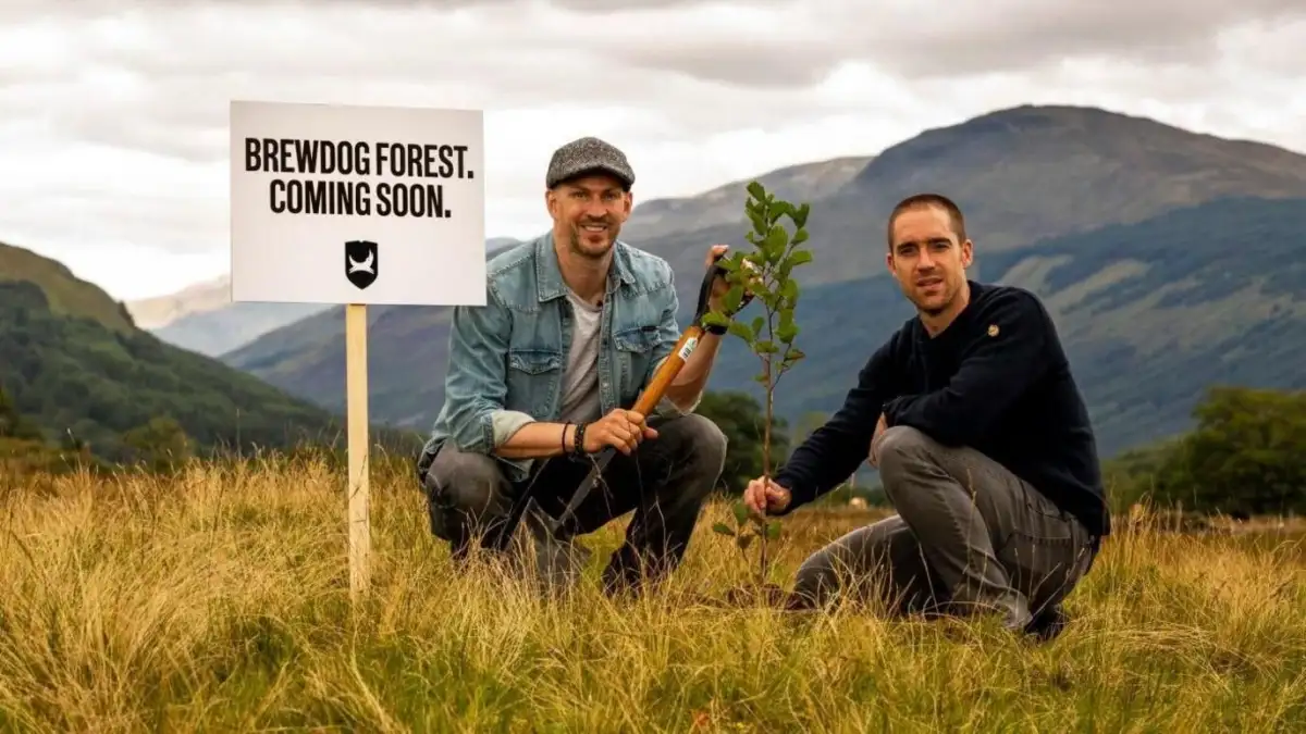 Scottish craft beer brand Brewdog put up for sale - 3