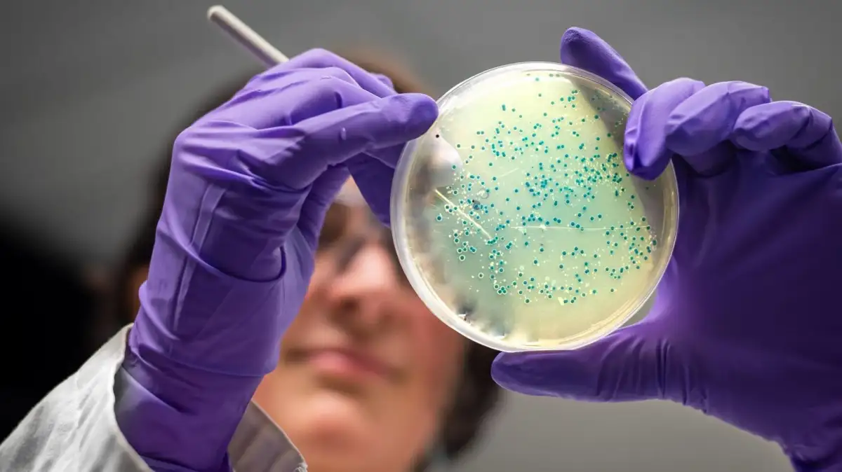 How generative AI and physics can help design new antibiotics - 2