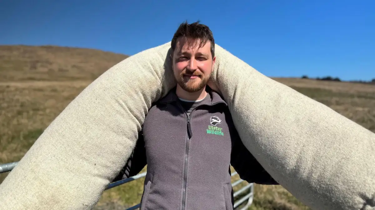 A woolly solution to NI's peatland problems? - 1