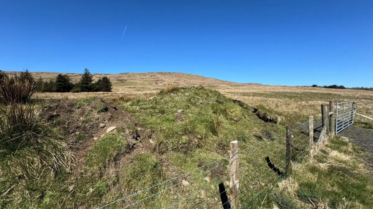 A woolly solution to NI's peatland problems? - 2