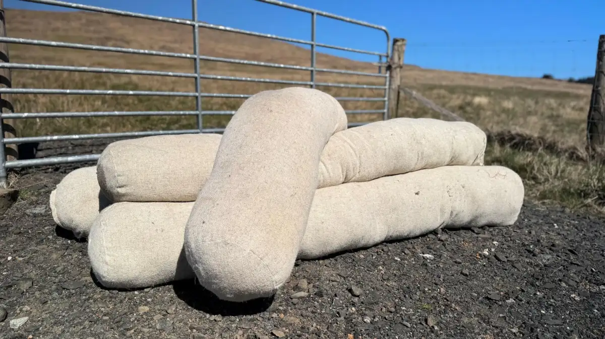 A woolly solution to NI's peatland problems? - 3