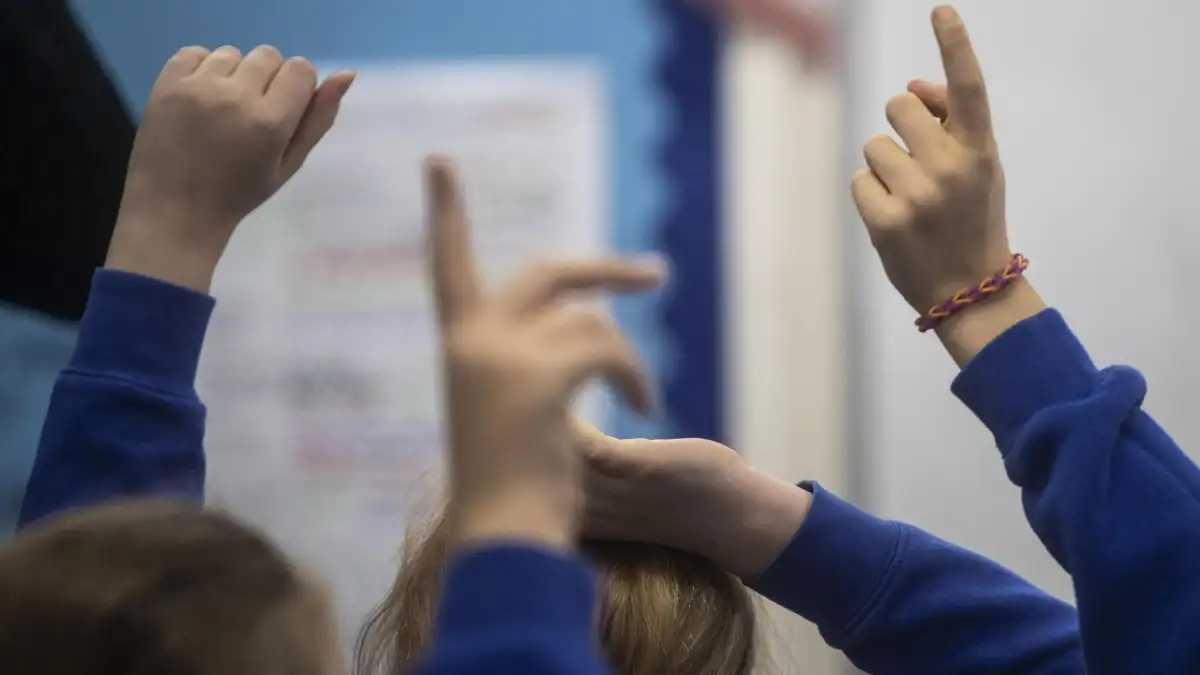 ‘They’re not listening!’: the government’s gamble on special education reform – podcast - 4