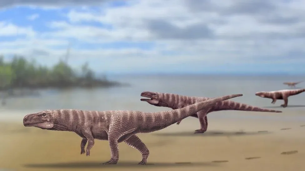 'Peculiar' crocodile ancestor started life on four legs before learning to walk on two - 3