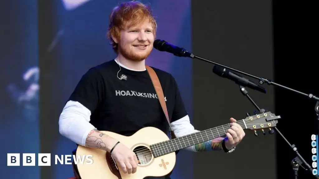 From Chewbacca the dog to Ed Sheeran the cat: Why pet lookalikes go viral - 1