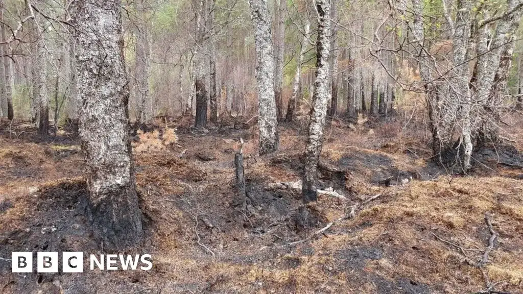Campfires on lochside ground could become illegal to prevent wildfires - 2