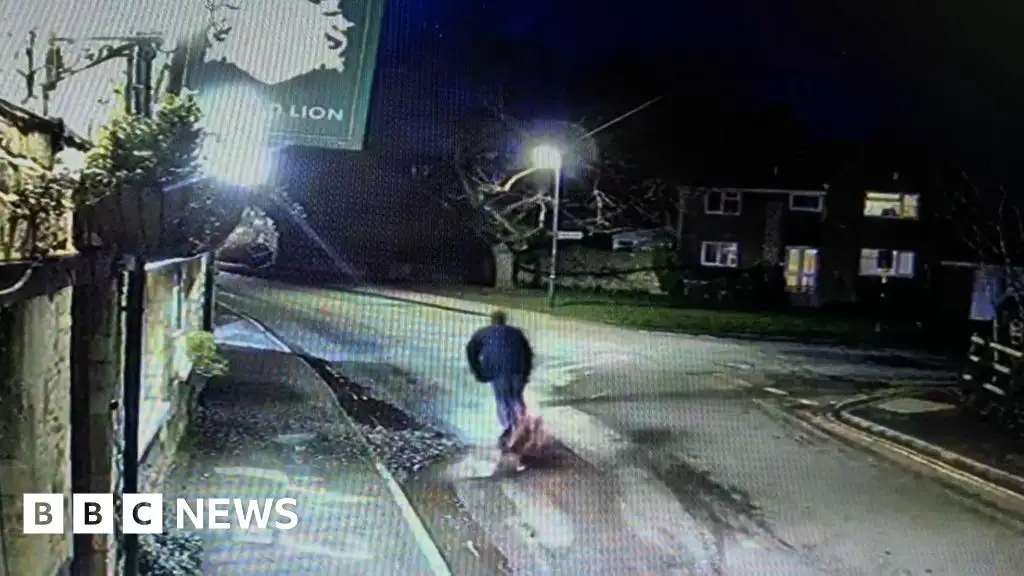 'I'm the e-scooter rider who faceplanted after hitting pothole - 1 thing is to blame' - 3