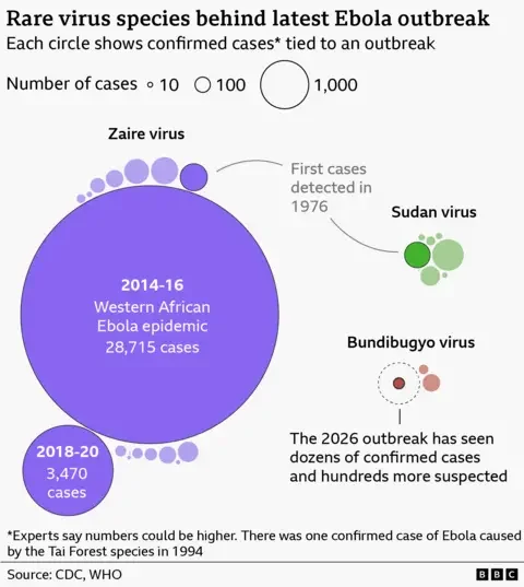 How Ebola kills -- and what it takes to stop it - 2