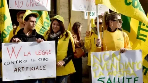 Horse meat set to be banned in Italy amid draft equine bill - 3