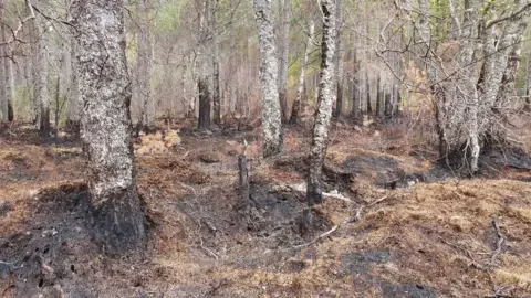 Campfires on lochside ground could become illegal to prevent wildfires - 3