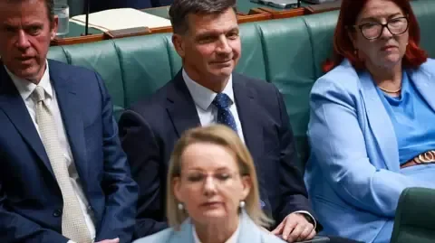 Sussan Ley and the glass cliff: Does Australian politics still have a problem with women? - 3