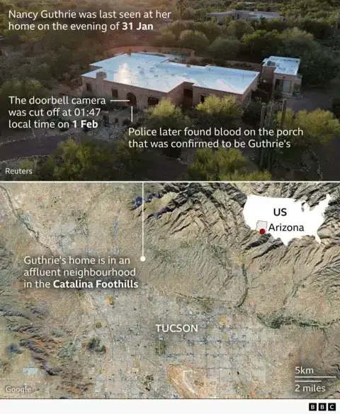Nancy Guthrie Case Update: Explosive 'Puerto Vallarta Sighting' Claim Emerges as Cartel Violence, Fires and Red Alert Grip Mexico - 3