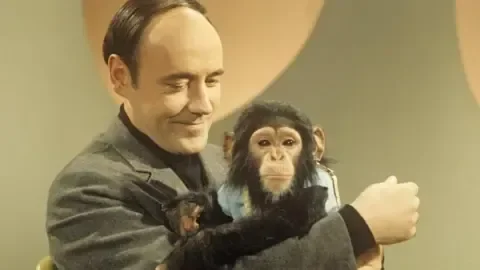 Desmond Morris: Controversial thinker who redefined human evolution with The Naked Ape - 4