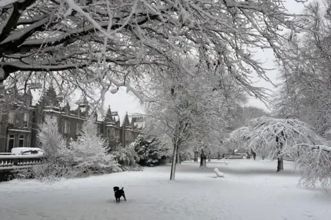 Bumper ski season but also avalanches in Scotland's snowy hills - 3