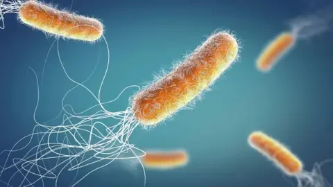 Antimicrobial resistance: Charles Darwin was right; India’s drug policy isn’t - 4