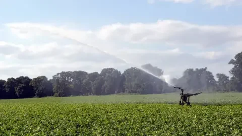 Why coping with heavy rain in Scotland's whisky country shows how to save water for the summer - 4