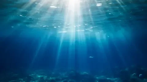 How a shift in the Gulf Stream could signal the collapse of a major ocean current system - 1