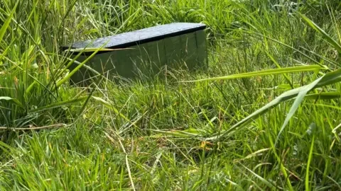 Plan to track for signs of endangered water vole - 1