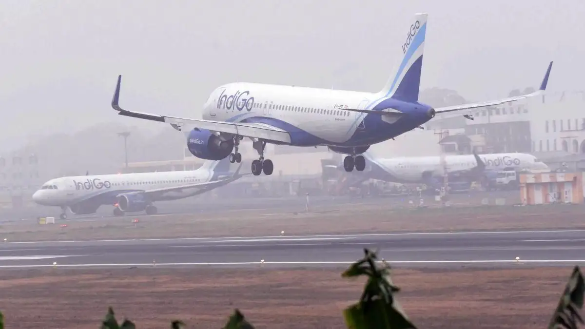 IndiGo flight aborts take-off at Lucknow after monkeys spotted on runway - 3