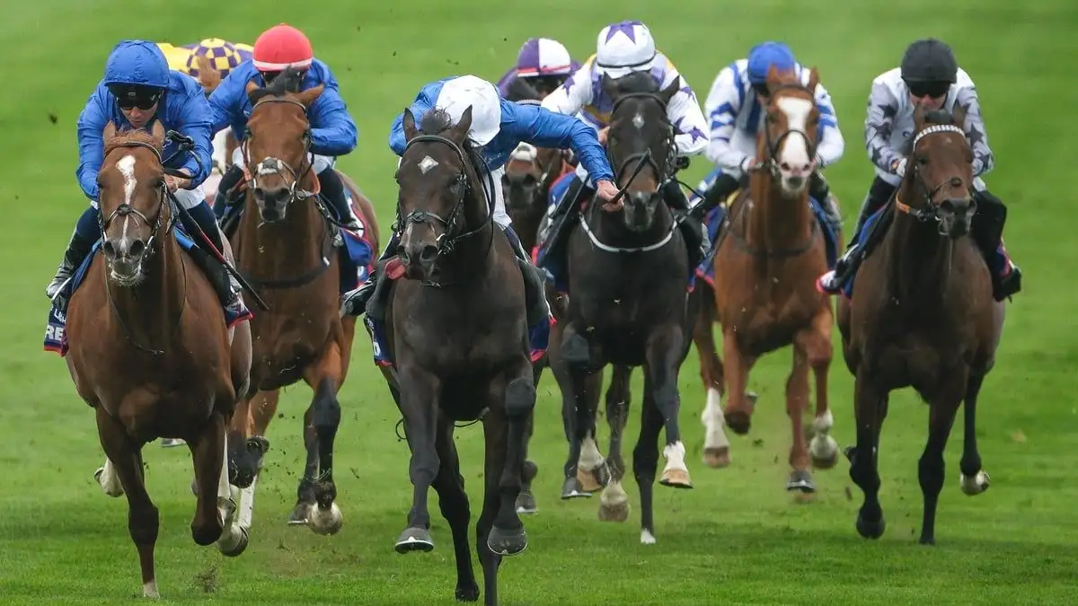 Horse racing: 2,000 Guineas day 2026 – live news and updates - 3