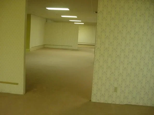 Are you sitting uncomfortably? How Backrooms upended the horror movie - 3